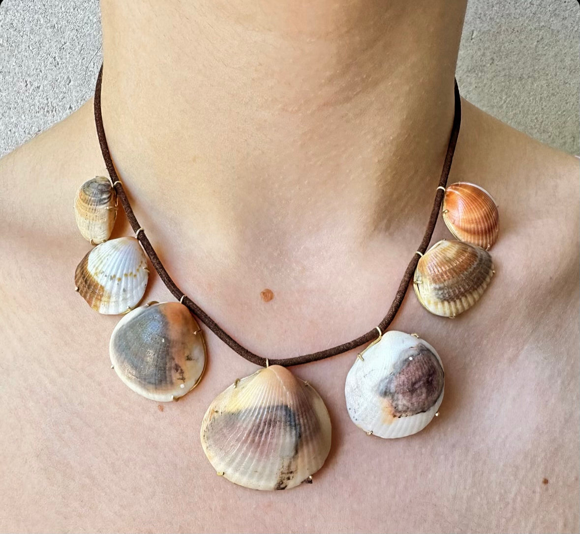Shells on Brown Cord