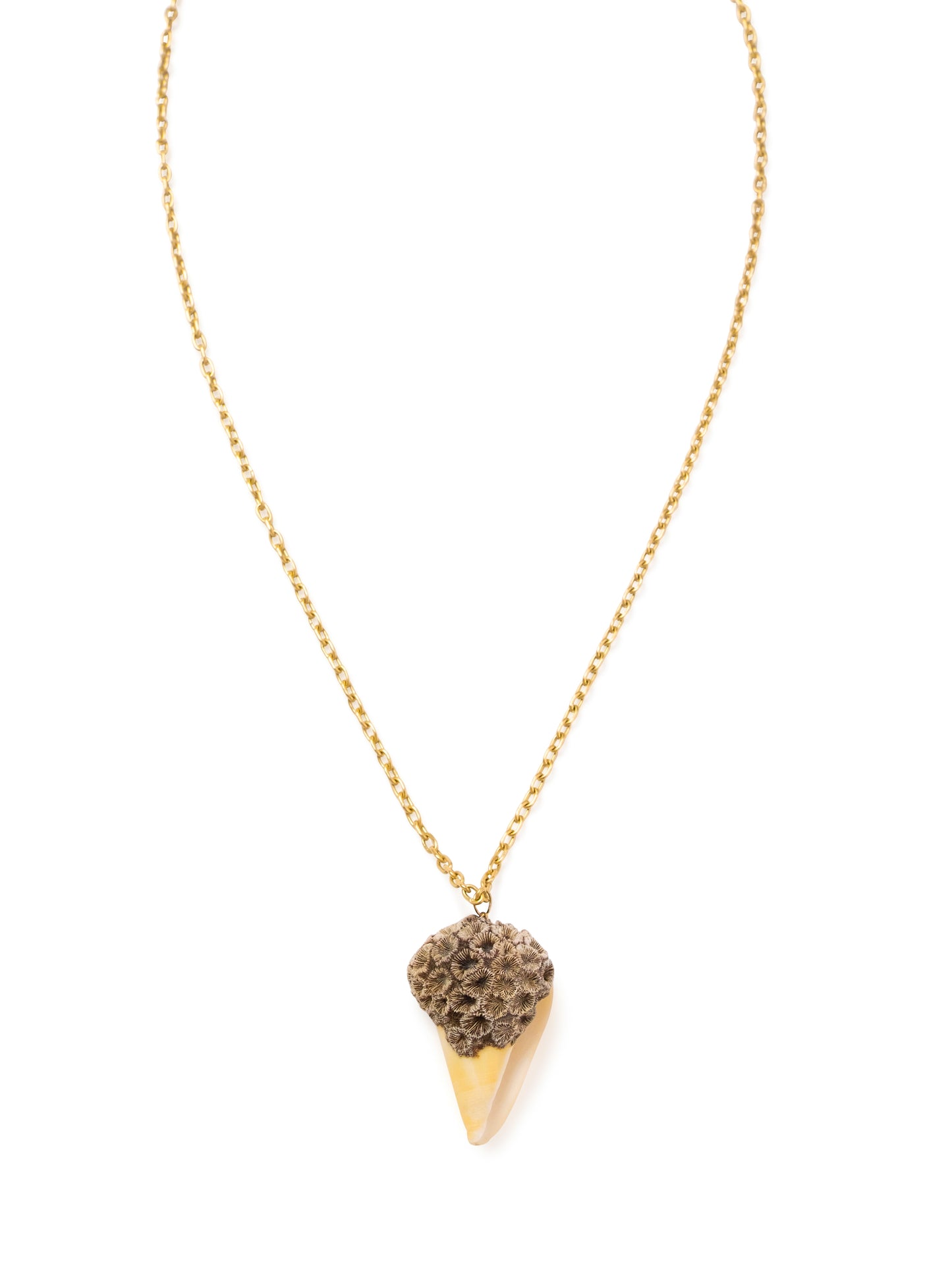 Shell with Coral Formation Pendant