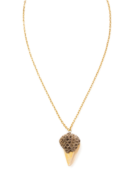 Shell with Coral Formation Pendant