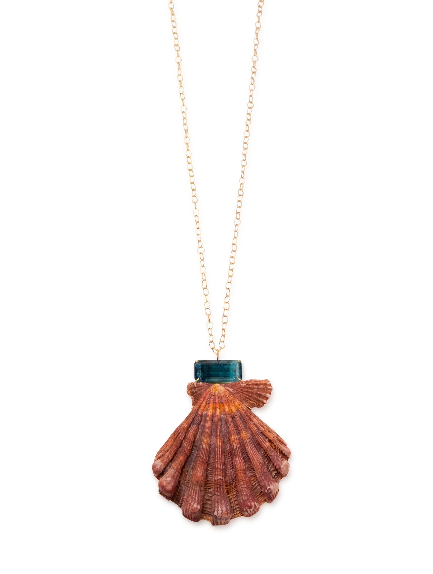 Bi Color Tourmaline with Lion's Paw Shell Pendant
