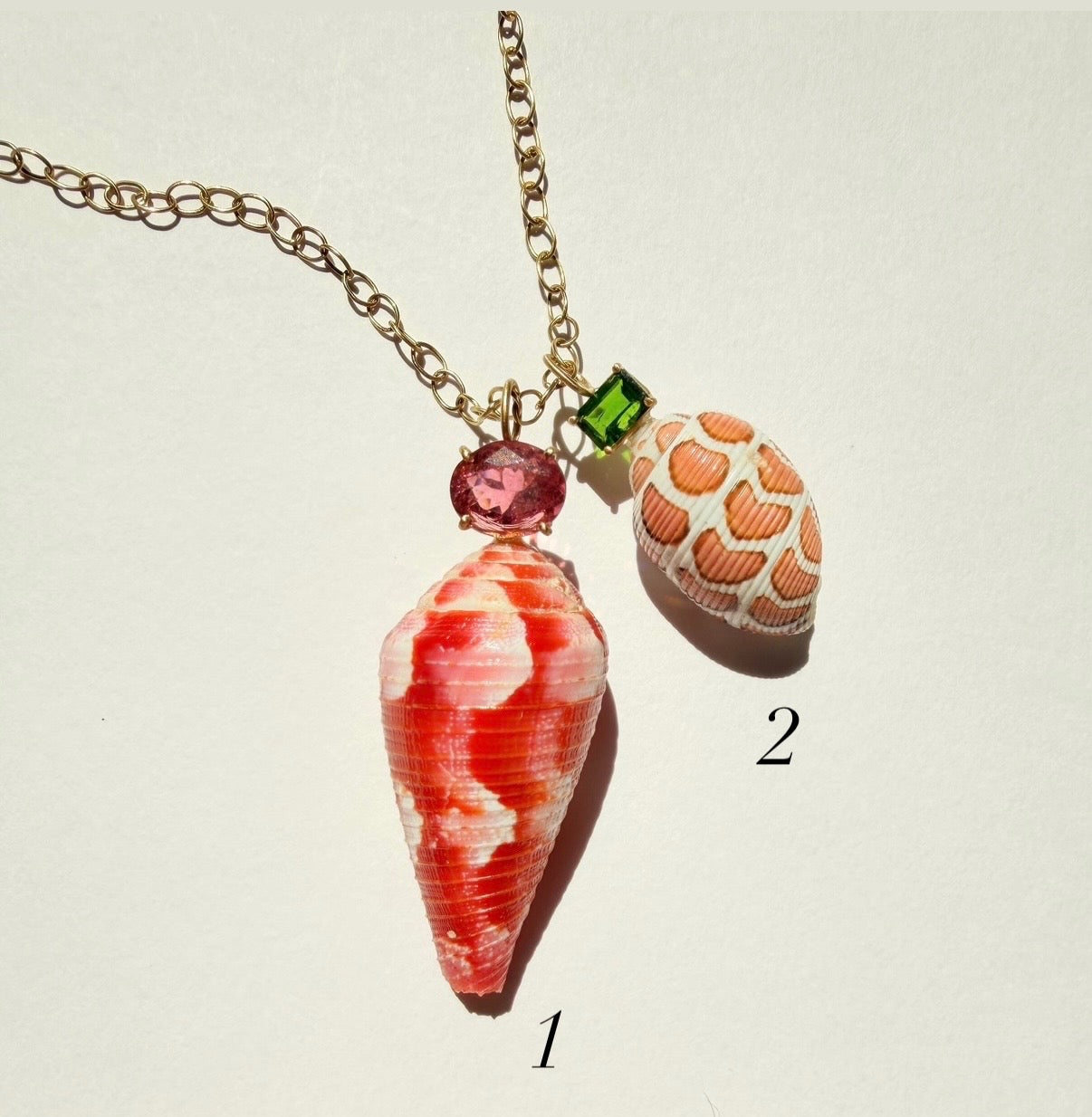 Shell with Green Tourmaline