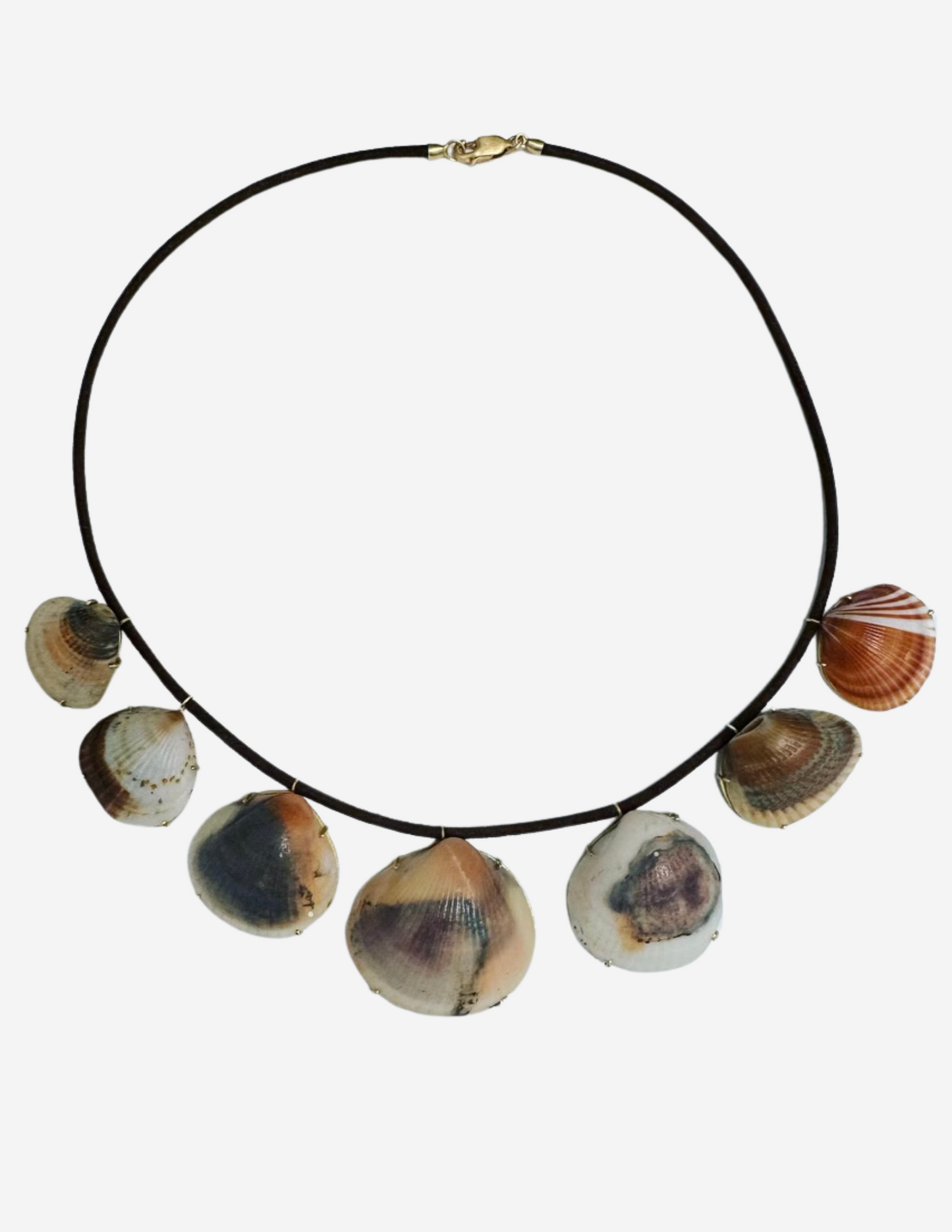 Shells on Brown Cord