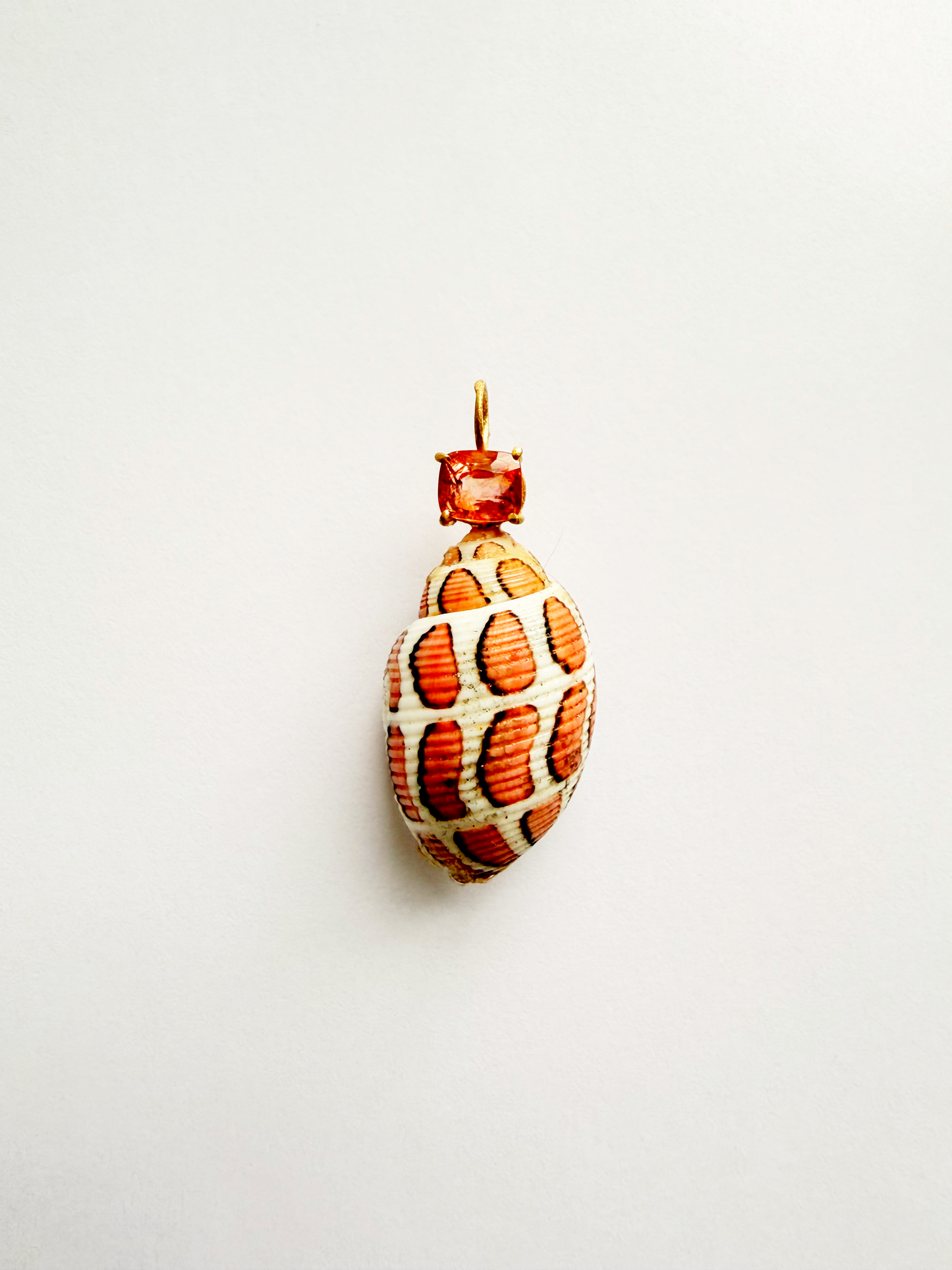 Shell with Tourmaline Pendant