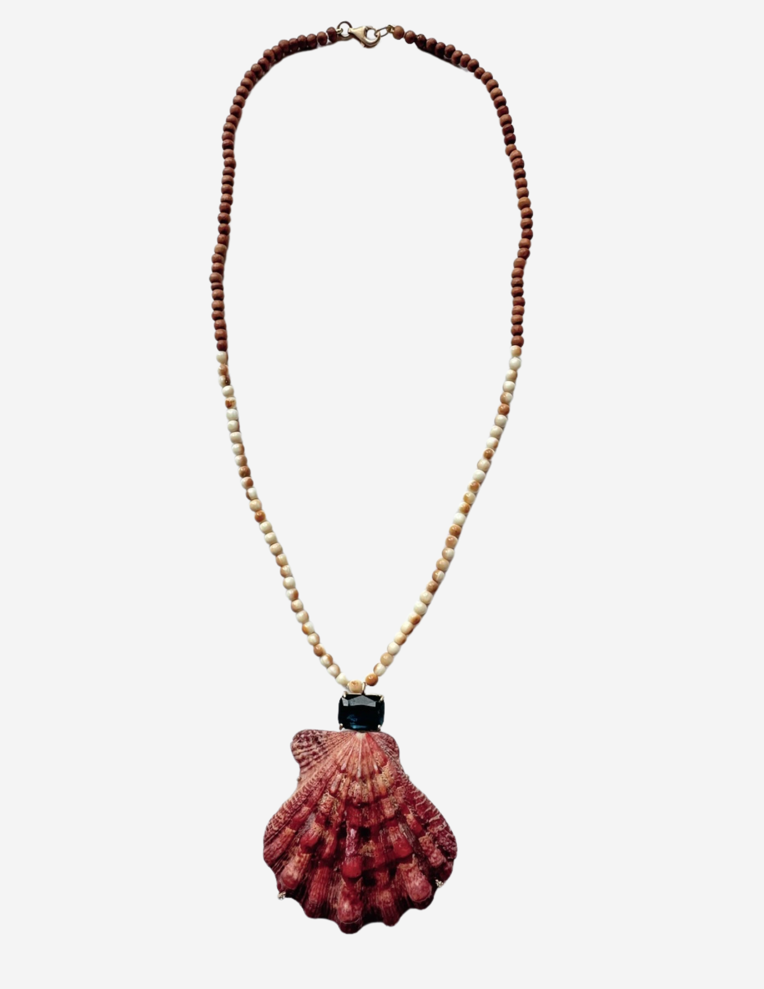 Lion's Paw Shell Necklace – Marisa Klass
