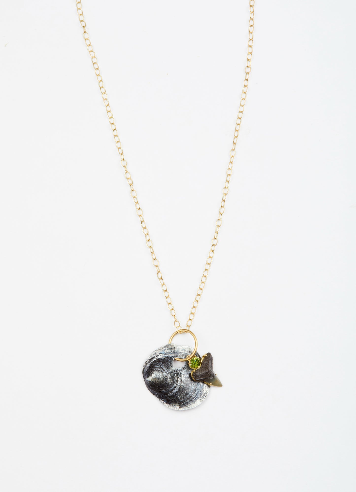 Gold Link Chain with Black Shell, Shark Tooth and Sphene