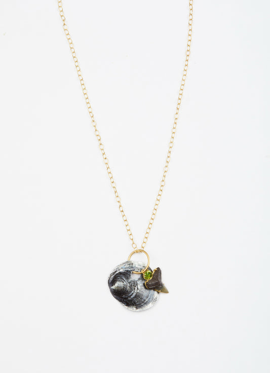 Gold Link Chain with Black Shell, Shark Tooth and Sphene
