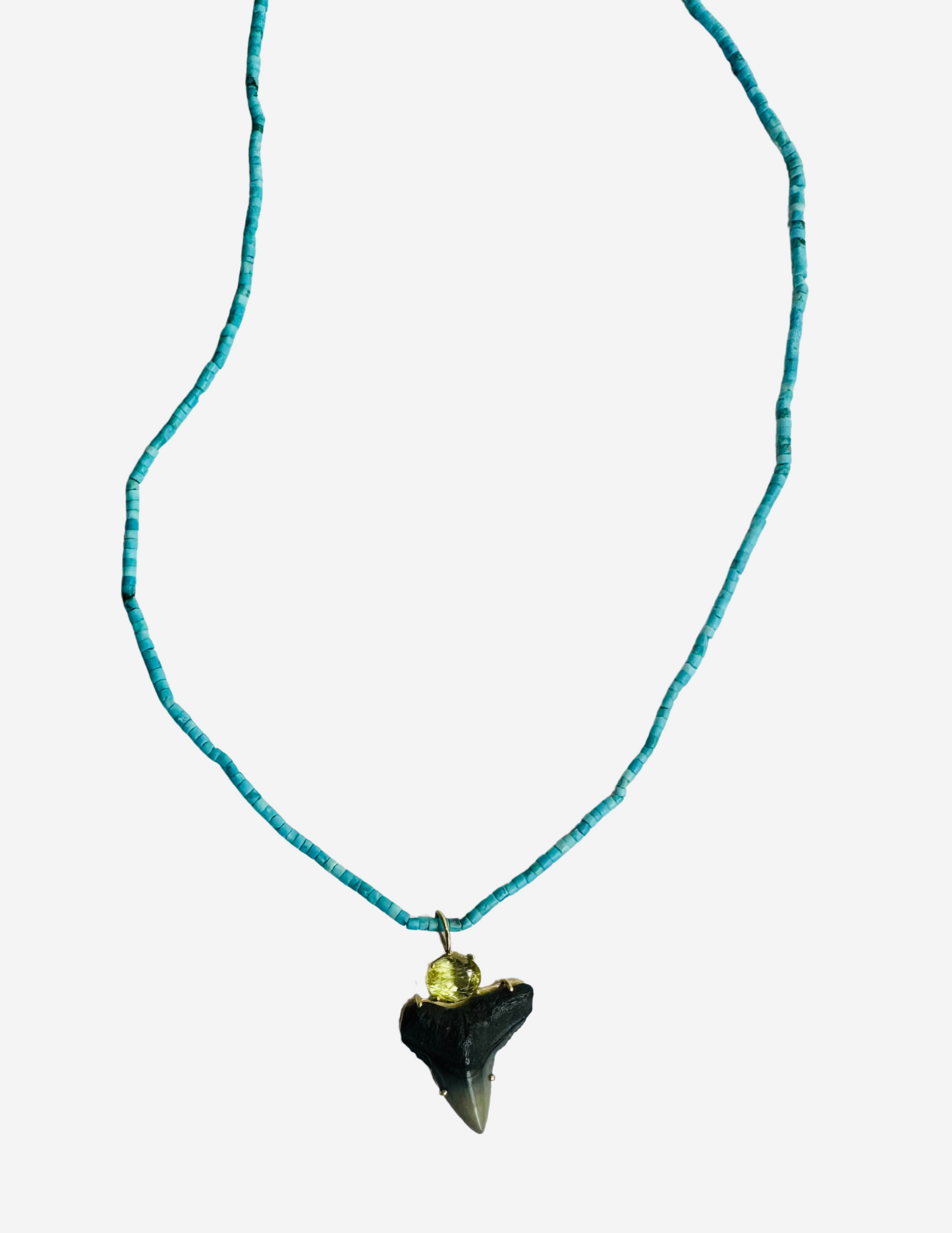 Turquoise Beads with Sphene and Shark Tooth