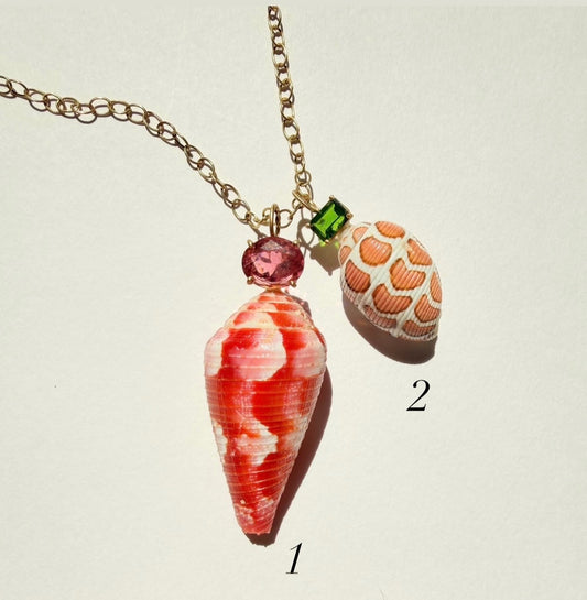 Shell with Green Tourmaline