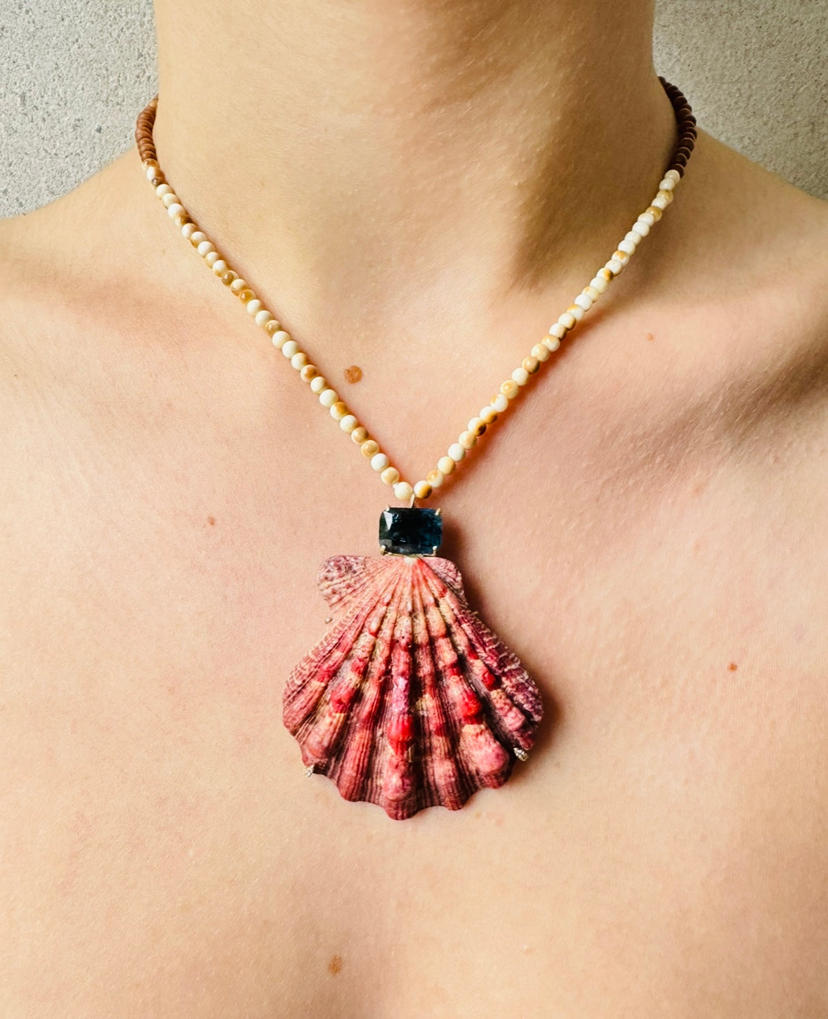 Lion's Paw Shell Necklace – Marisa Klass