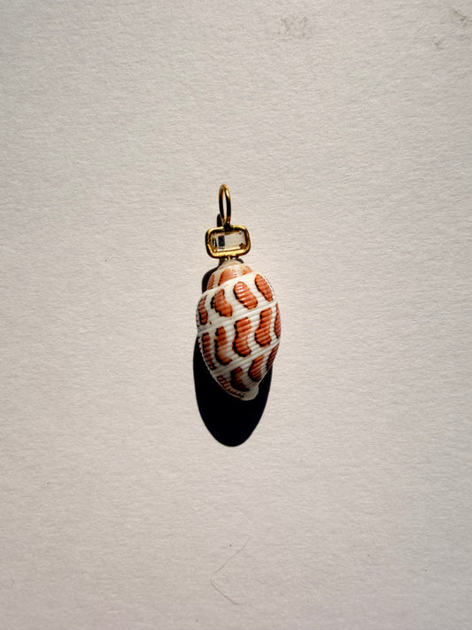 Rare Shell Pendant with Diamond