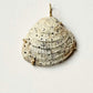 Shell Pendant with Diamonds