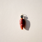 Shell with Spinel
