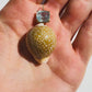Shell with Aquamarine Pendant