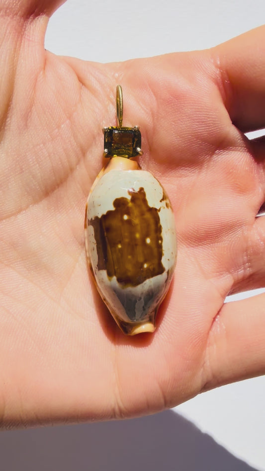 Shell Pendant with Tourmaline