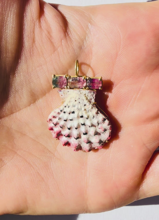 Rare Shell Pendant with Bi Color Tourmalines